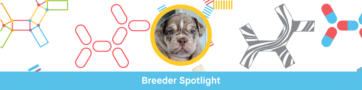 Breeder Spotlight: Jennifer Cook Weighs in on Matchmaker