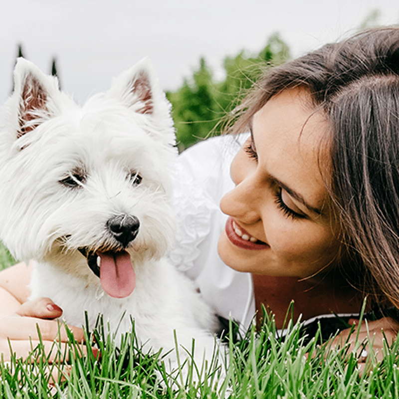 DNA Testing: Embark Experts Answer top Breeder Questions