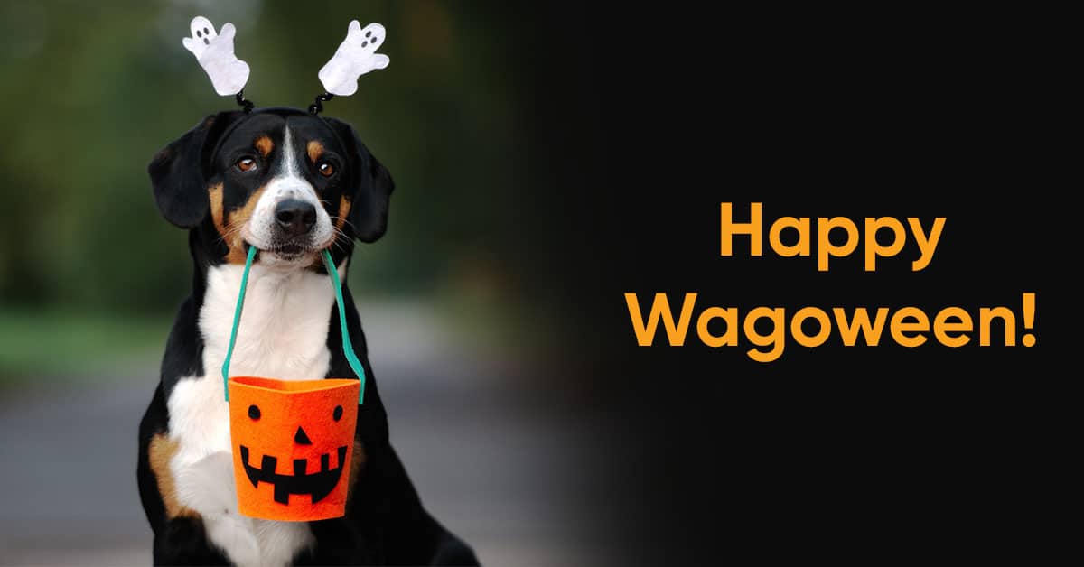 Make Halloween Less Spooky with Wagoween