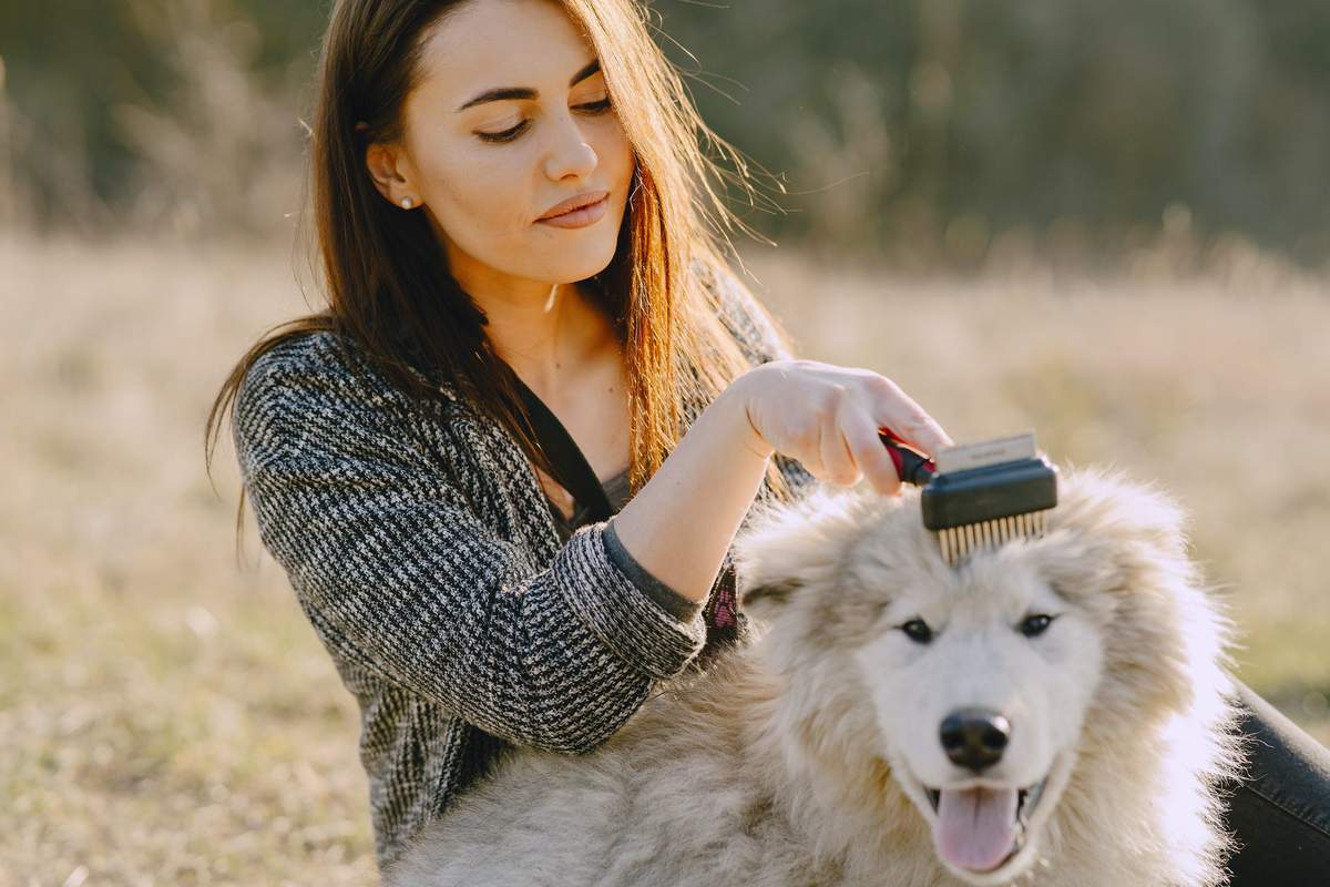 Don’t Just Brush Your Dog’s Coat, Love It!