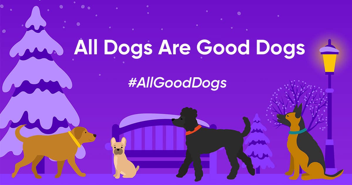 What’s Your Dog’s Holiday Routine?