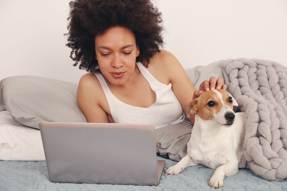 Learn How To Train a Therapy Dog