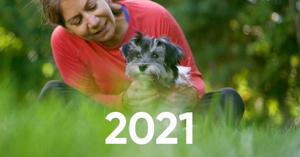 2021: An Intentional New Year With Your Dog