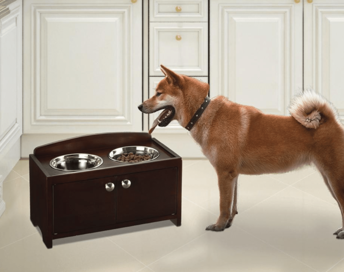 The science behind feeding methods (bowls, scoops, fountains and more)