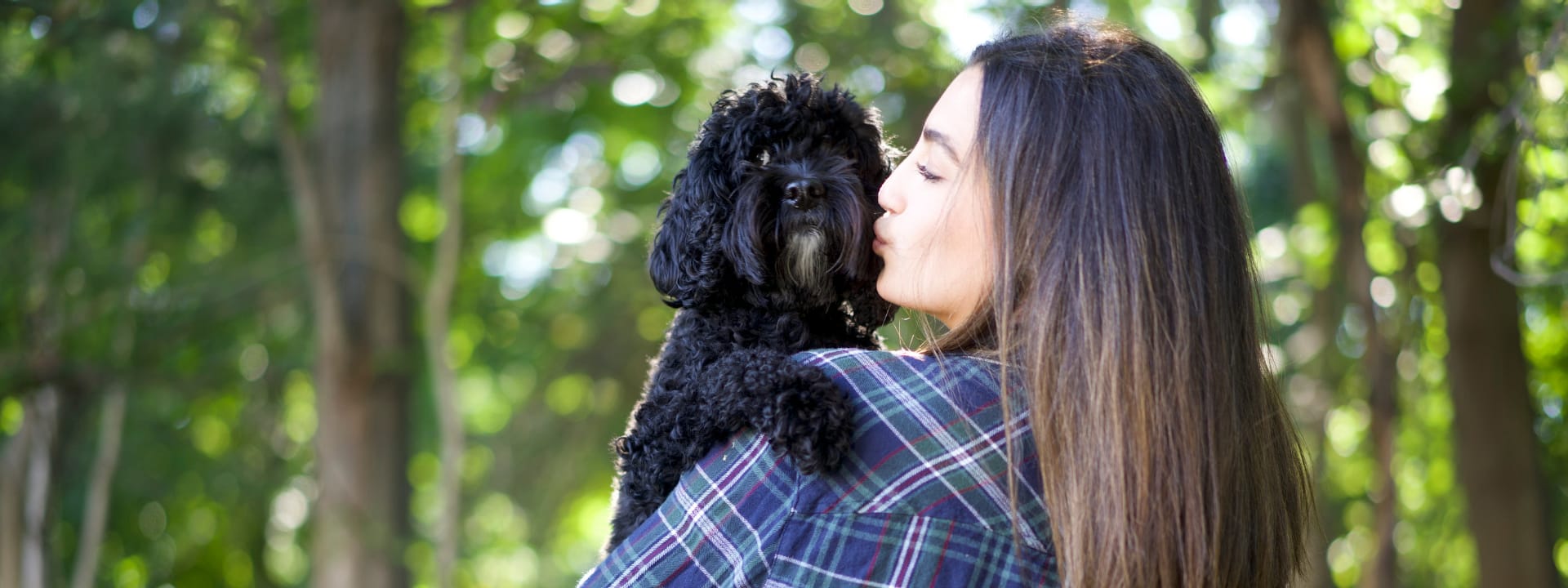 Dog Love Languages In Action