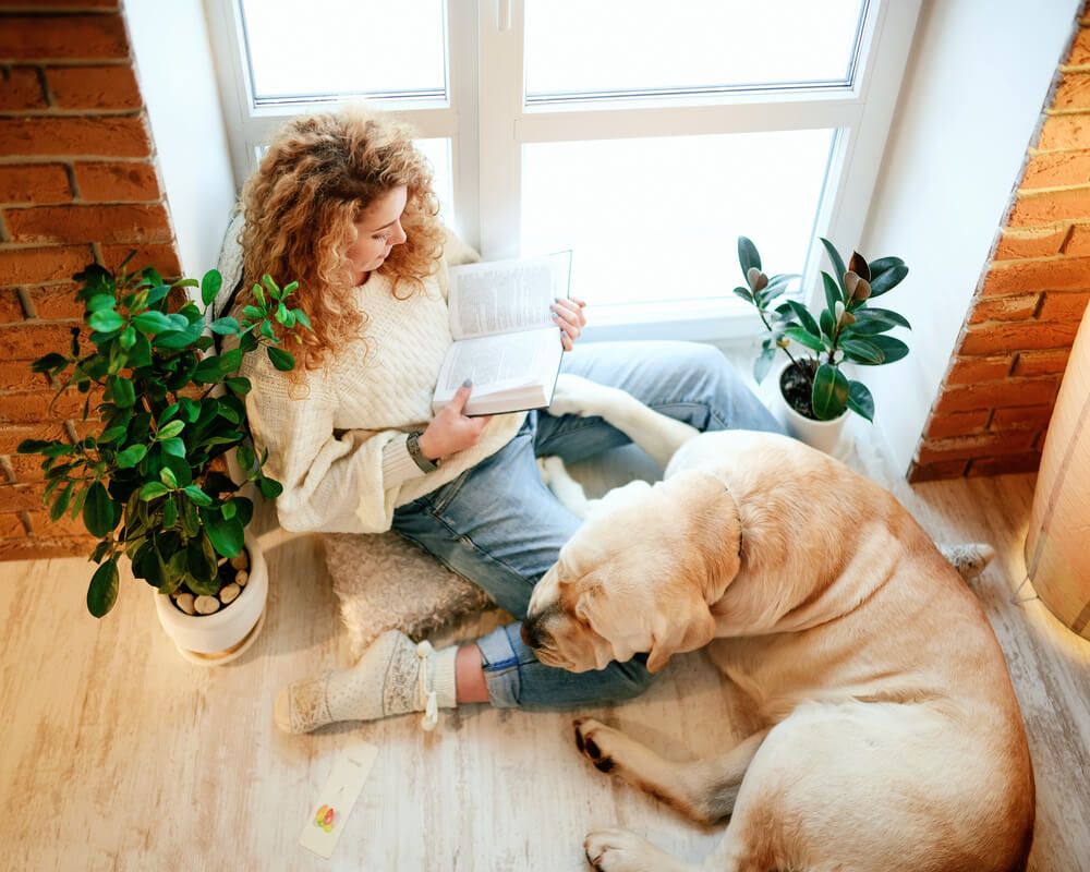 How Can My Dog Help With My New Year’s Resolution
