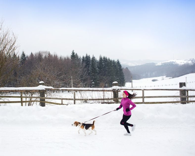 8 Smart Tips for Winter Running with Your Dog