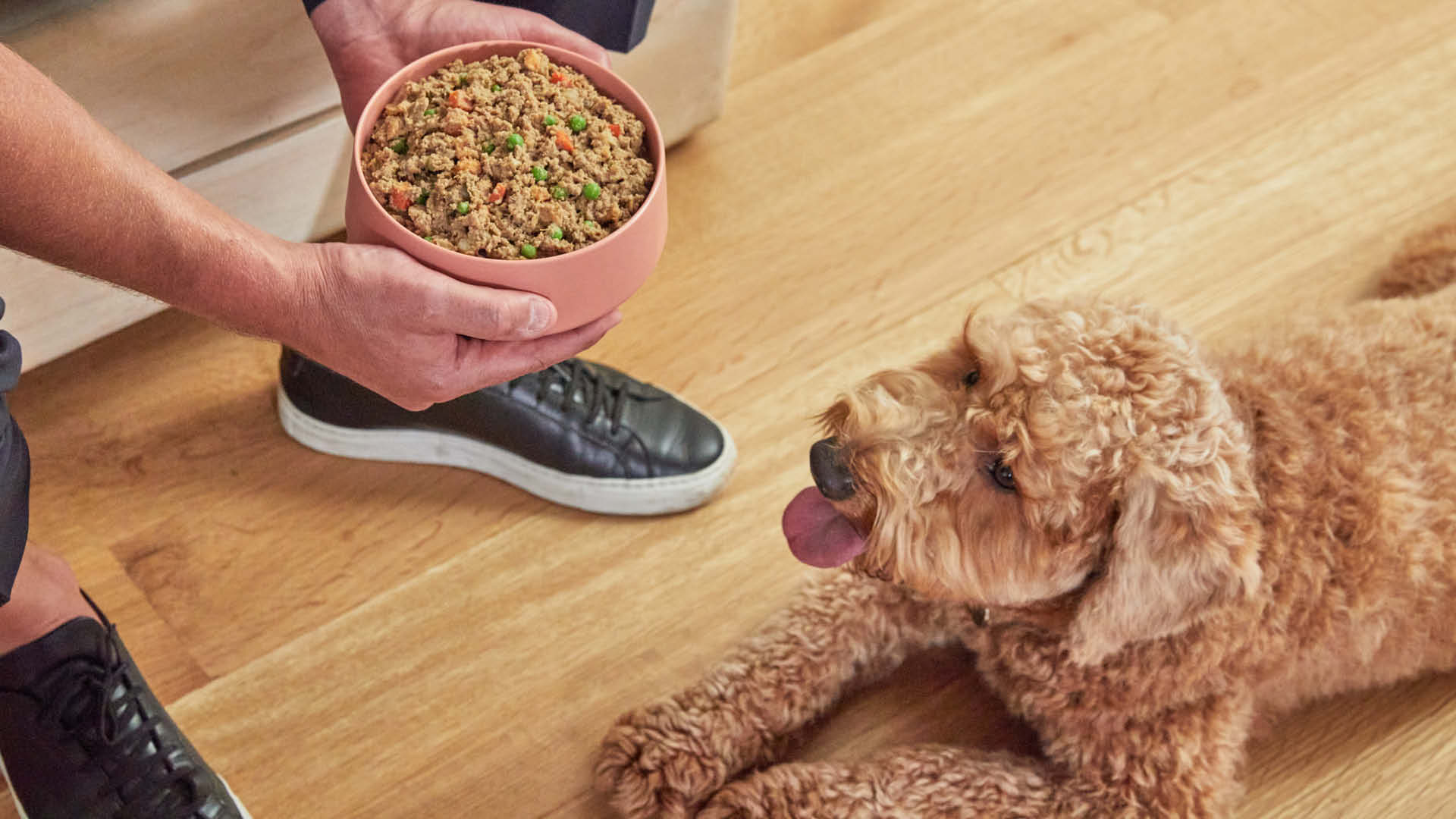 Homemade Dog Food with Beef: High-Protein, Grain-Free Recipe