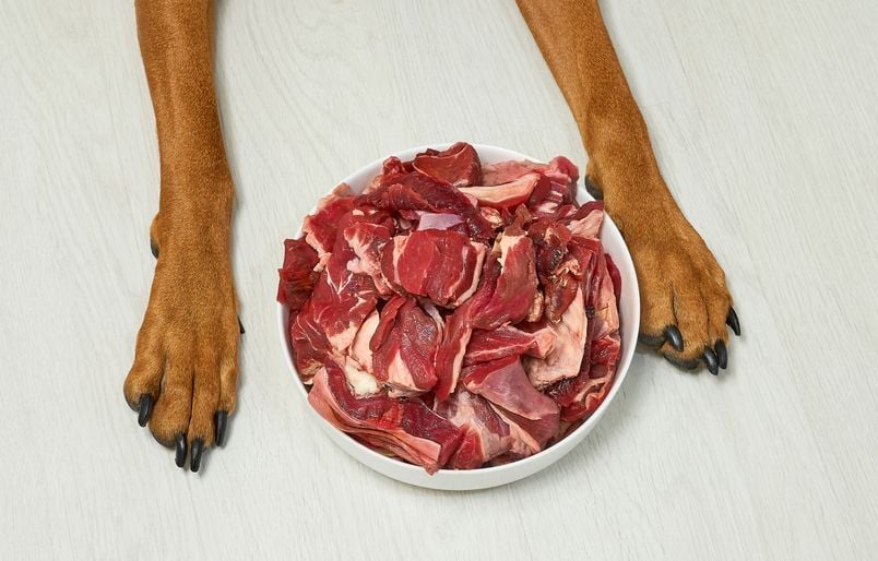 Is Beef Good For Dogs?
