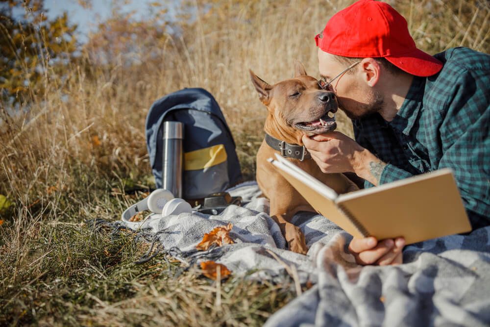 Tails of Adventure: Summer Reading List