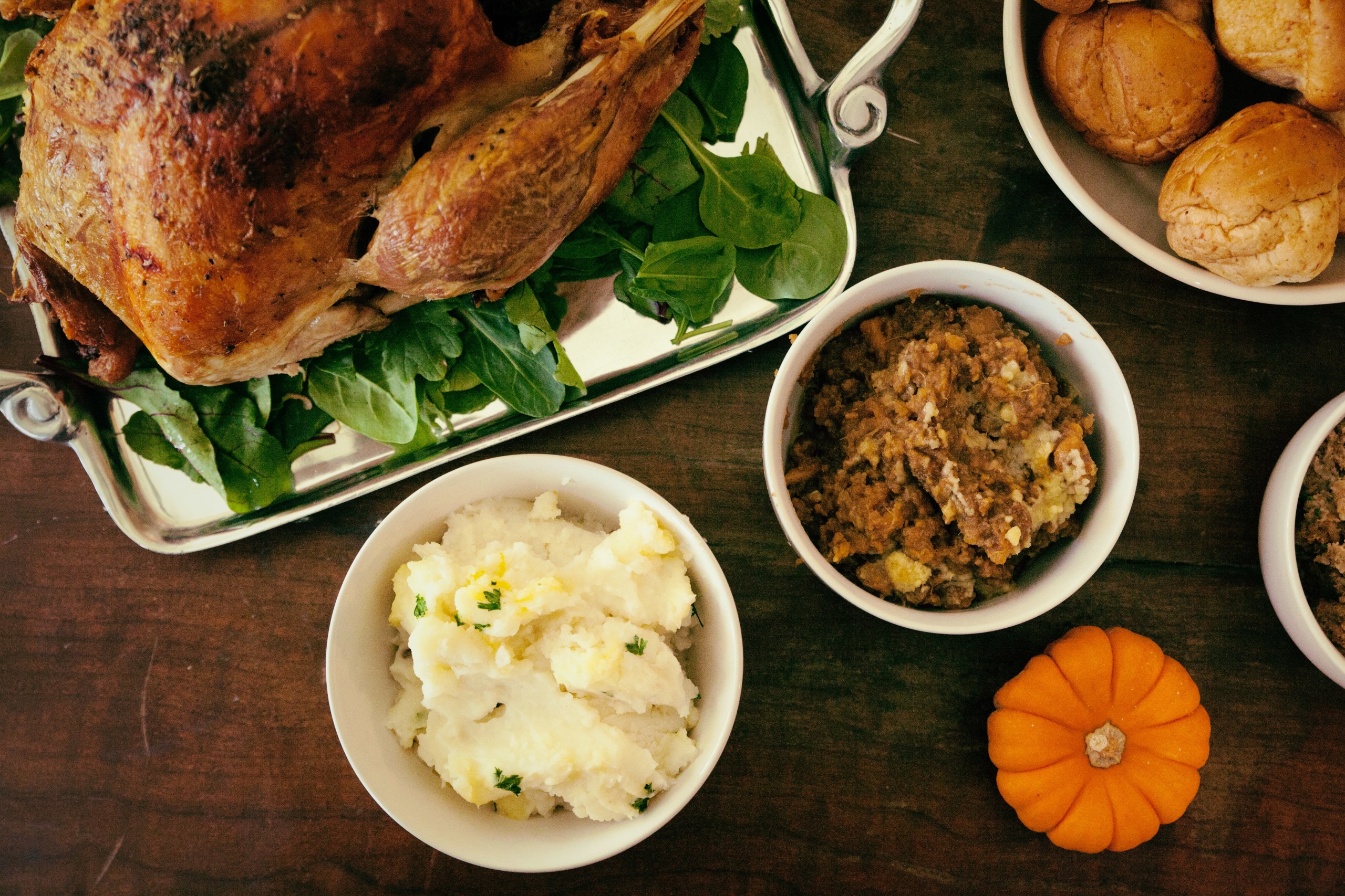 Can Dogs Eat Turkey and Other Thanksgiving Foods?